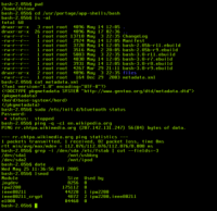 300px-Bash_screenshot-thumb
