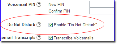 Google Voice Preferences