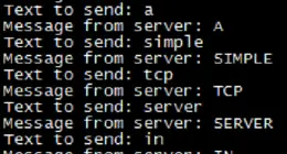 Golang simple tcp server
