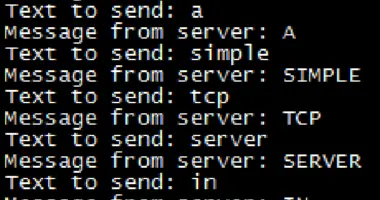 Golang simple tcp server