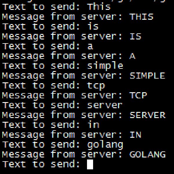 Golang simple tcp server